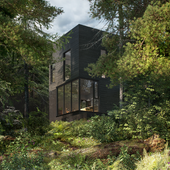 HOUSE IN THE FOREST