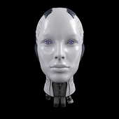 Female Robot Head