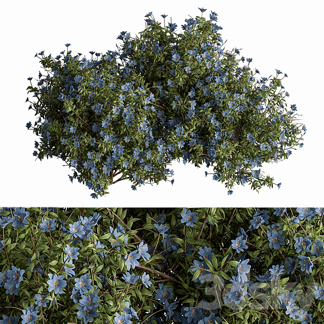 
                                                                                                            Bush Creeper Blue Flower - Bush Set 86
                                                    