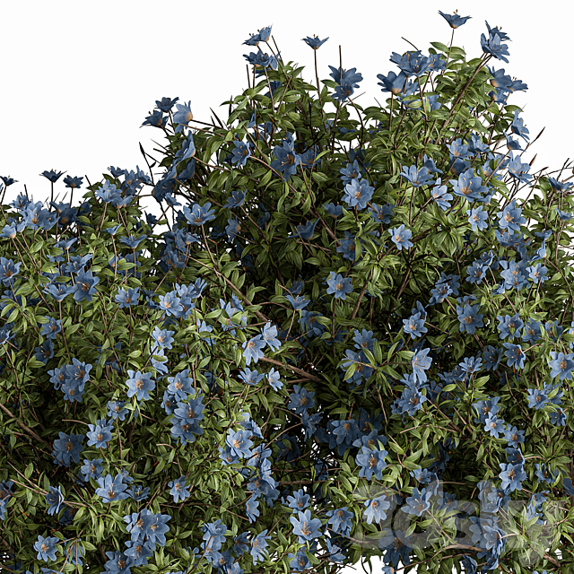 
                                                                                                            Bush Creeper Blue Flower - Bush Set 86
                                                    