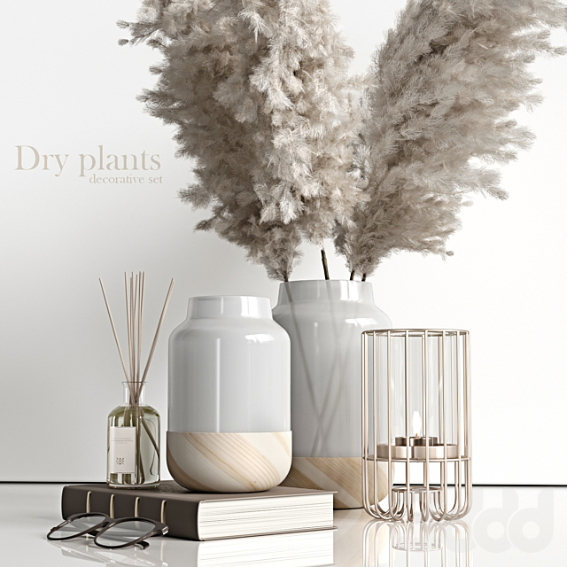 
                                                                                                            Decorative set with dry plants 4
                                                    