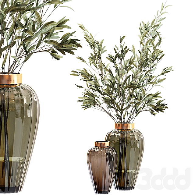 
                                                                                                            Olive stems in zara glass vase with water
                                                    